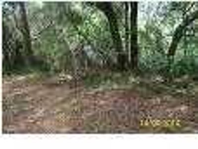 0 Arsburn Road, James Island, SC 29412