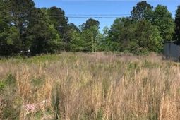 0 Hwy 17 South photo 4