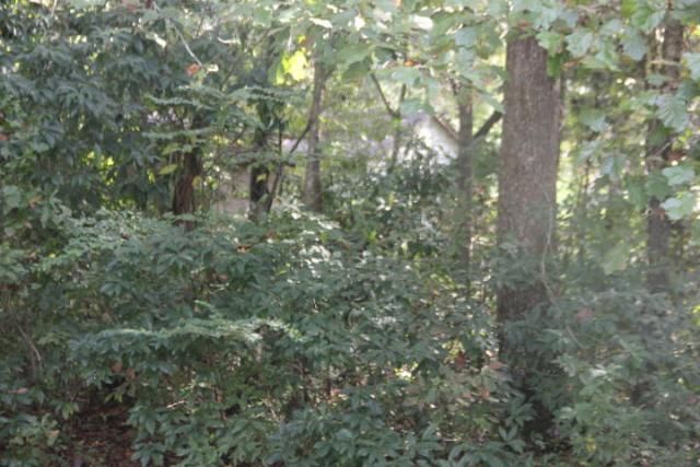 00 Flint Street Photo 1