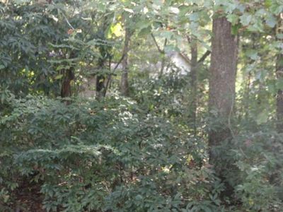 00 Flint Street, Charleston, SC 29412