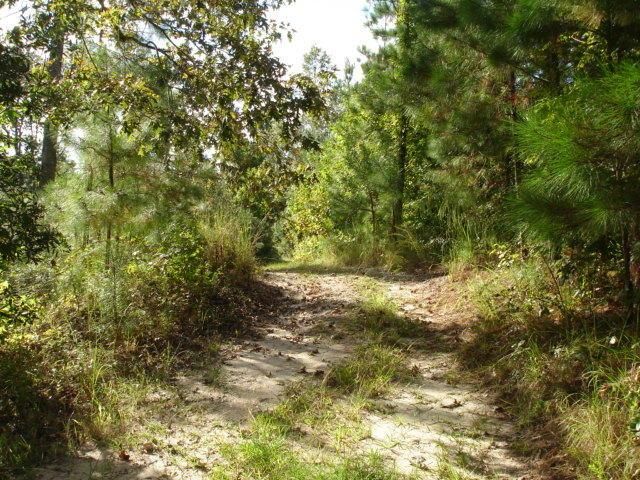 6 Parkers Ferry Rd Photo 4