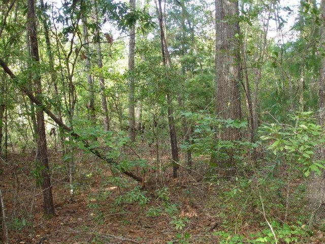 6 Parkers Ferry Rd Photo 5