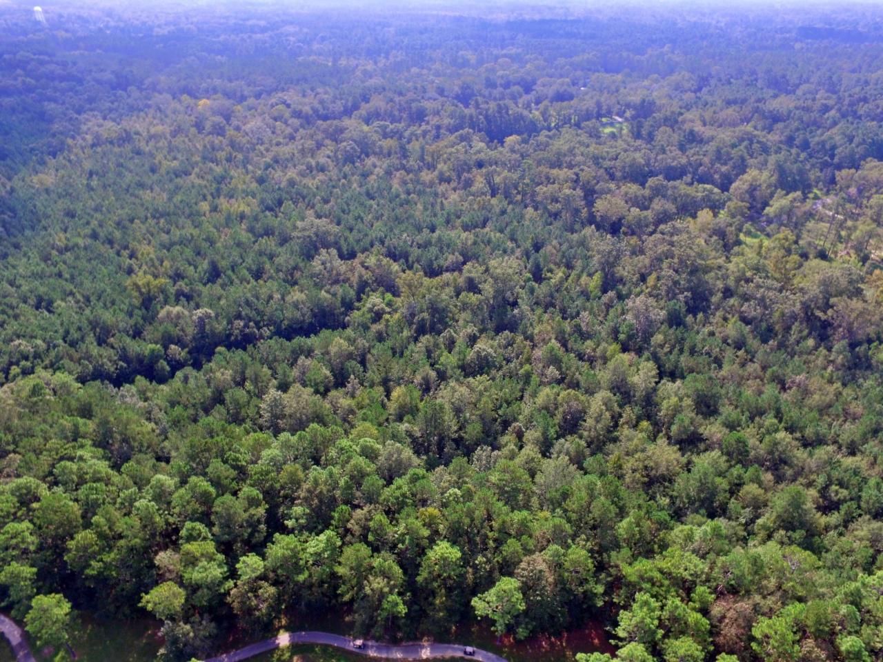 0 Hitching Post Lane Photo 11