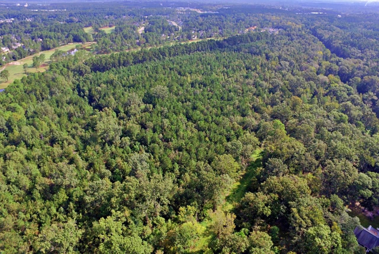 0 Hitching Post Lane Photo 4