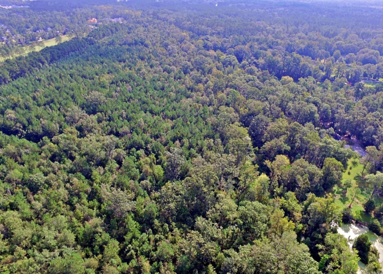 0 Hitching Post Lane Photo 5