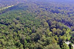 0 Hitching Post Lane photo 4