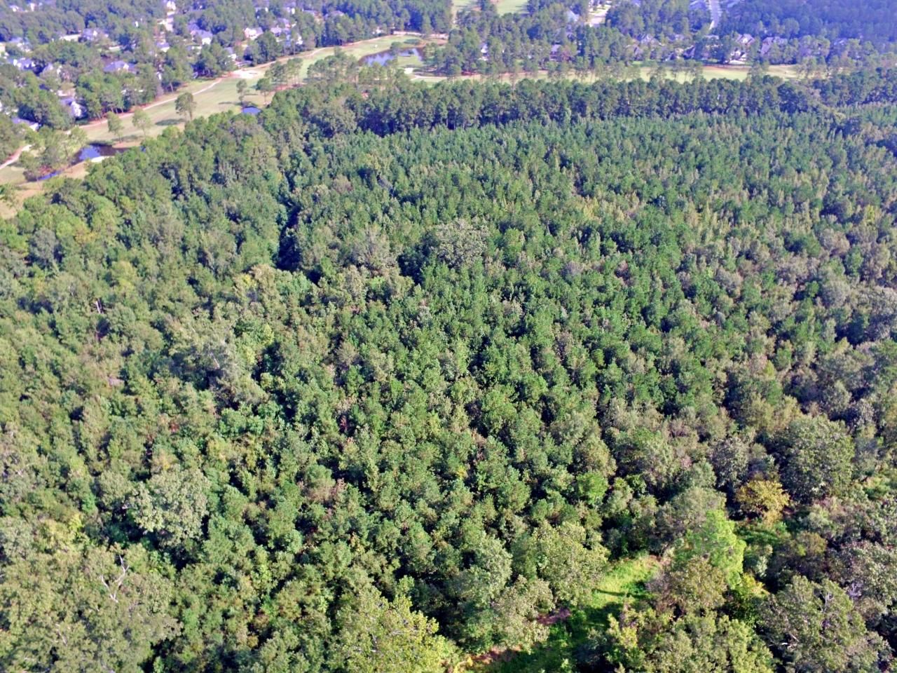 0 Hitching Post Lane Photo 9