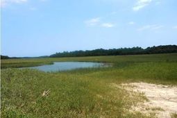 0 Point Of Pines Road photo 4