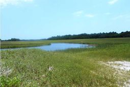 0 Point Of Pines Road photo 4