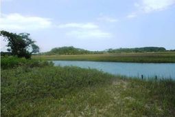 0 Point Of Pines Road photo 4