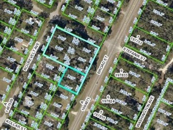 0 BROAD STREET, BROOKSVILLE, FL 34604