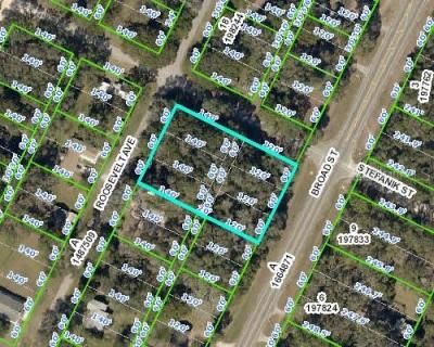 0 Broad Street, Brooksville, FL 34604 Photo