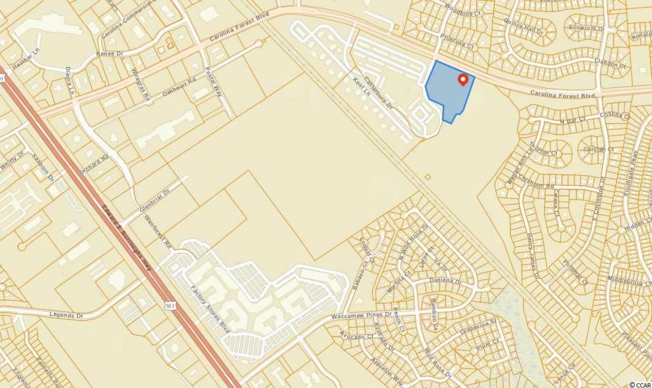 Tbd Carolina Forest Blvd. Photo 4