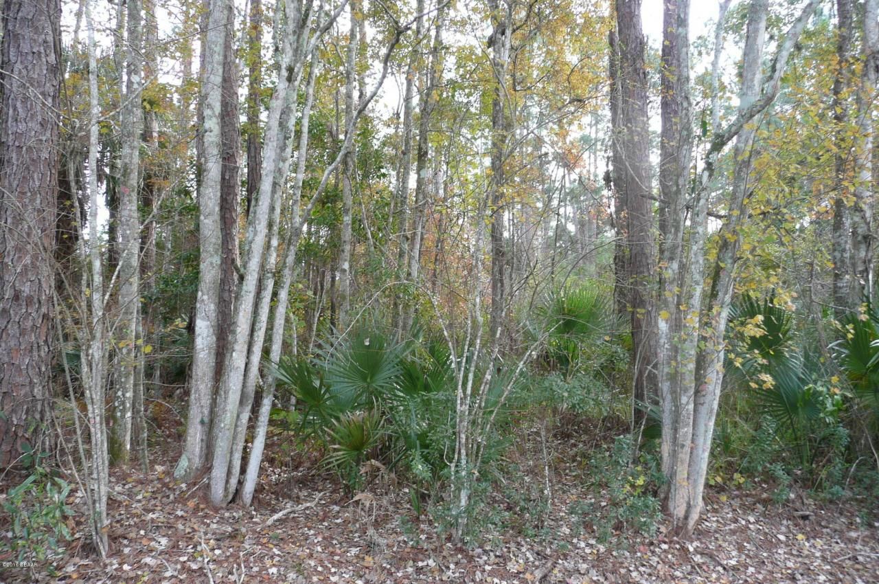 0 Old Deland Road, Daytona Beach, FL 32124 Photo