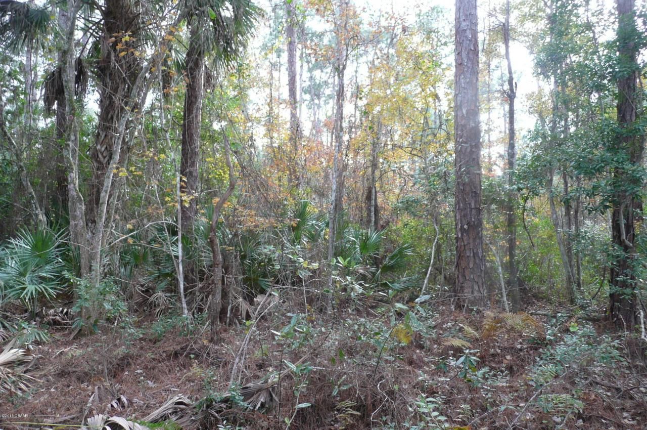 0 Old Deland Road, Daytona Beach, FL 32124 Photo