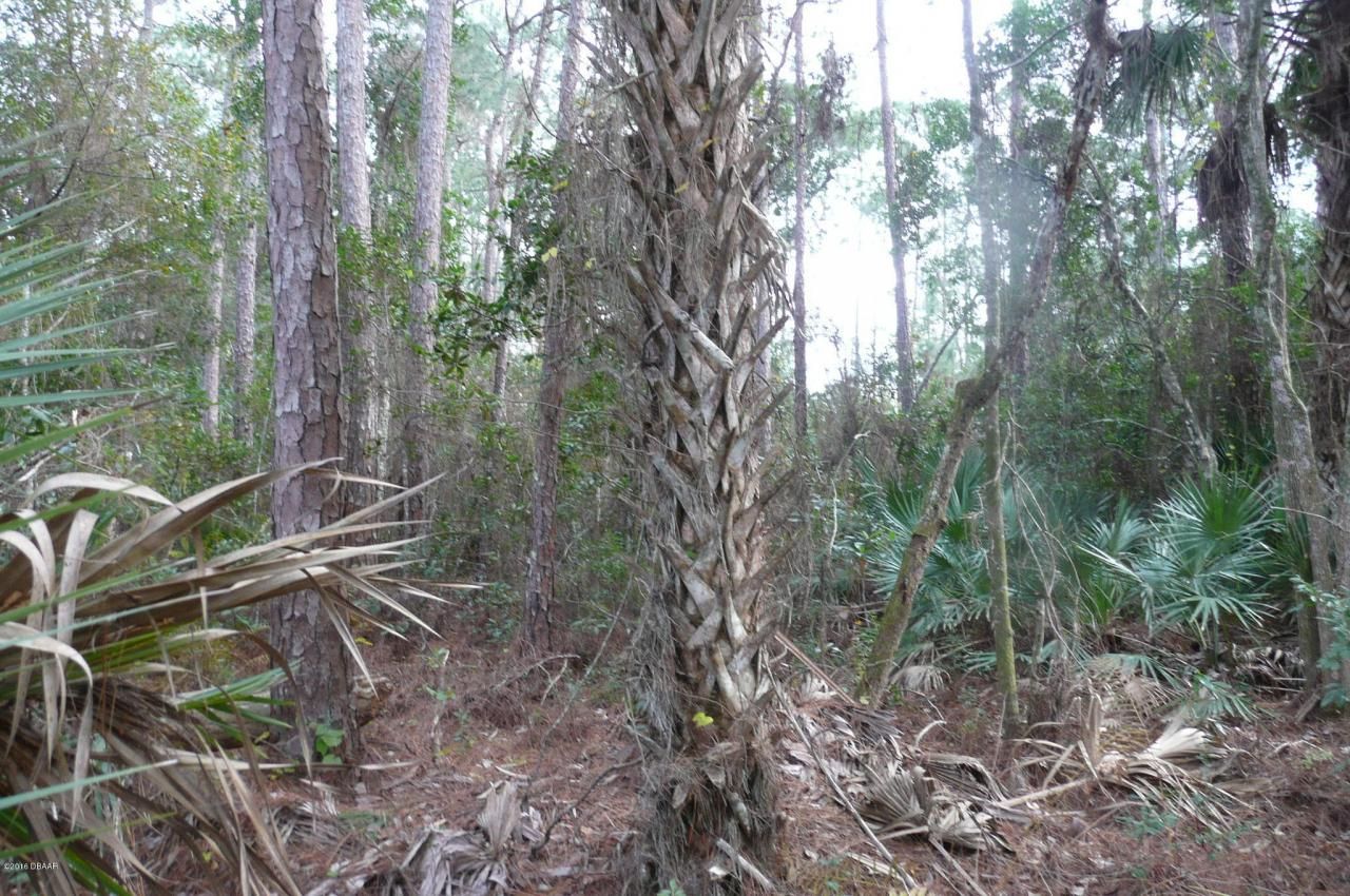 0 Old Deland Road, Daytona Beach, FL 32124 Photo