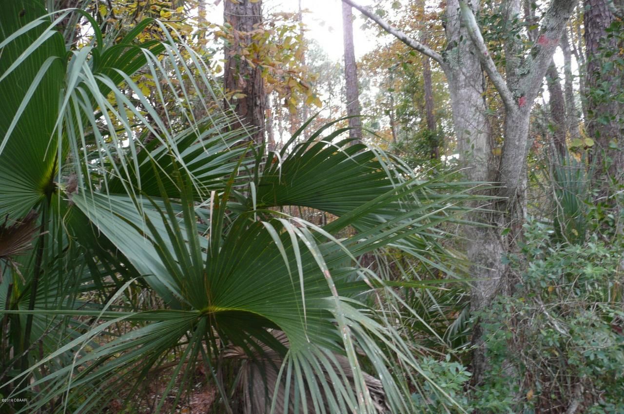 0 Old Deland Road, Daytona Beach, FL 32124 Photo