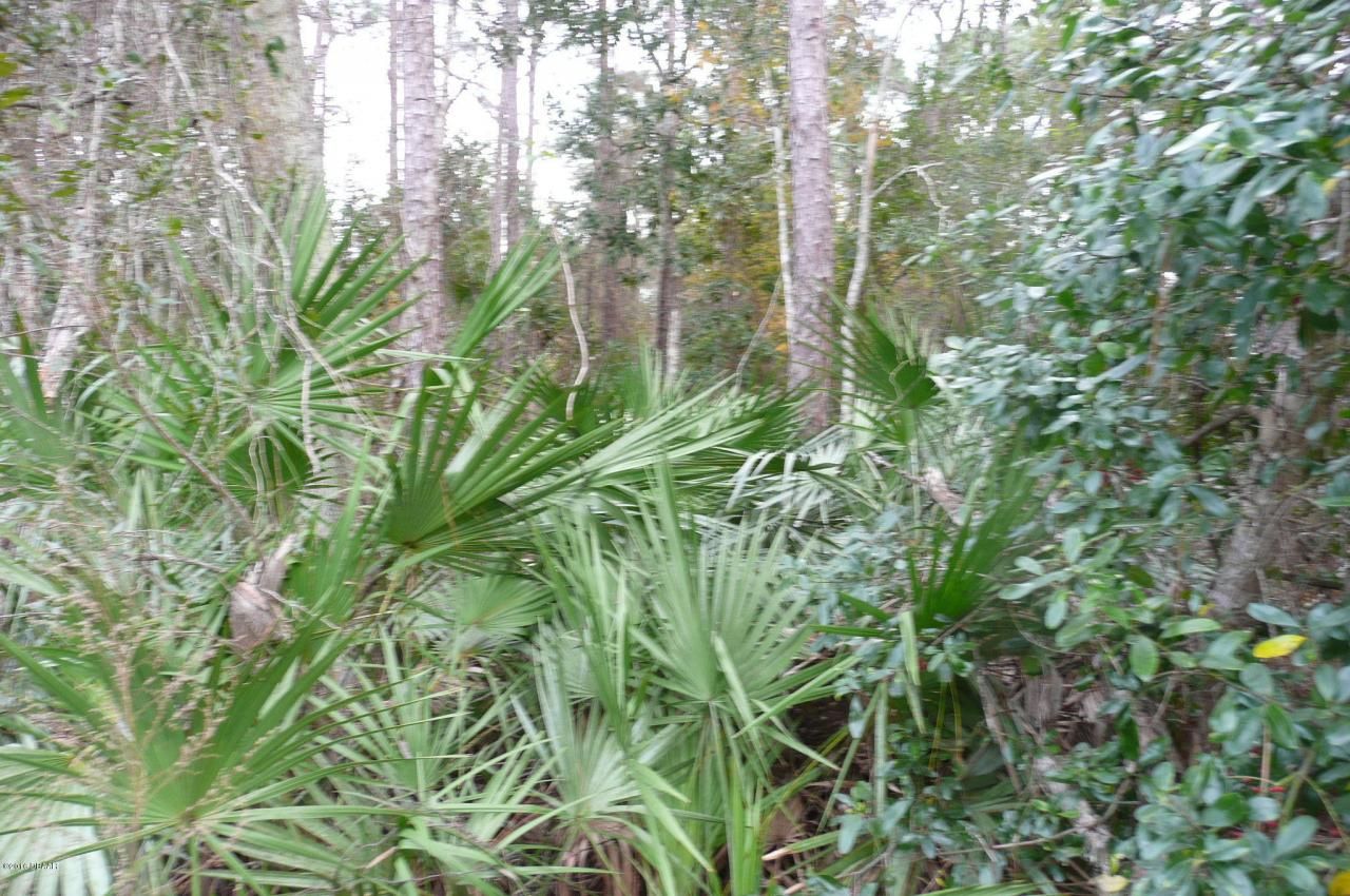 0 Old Deland Road, Daytona Beach, FL 32124 Photo