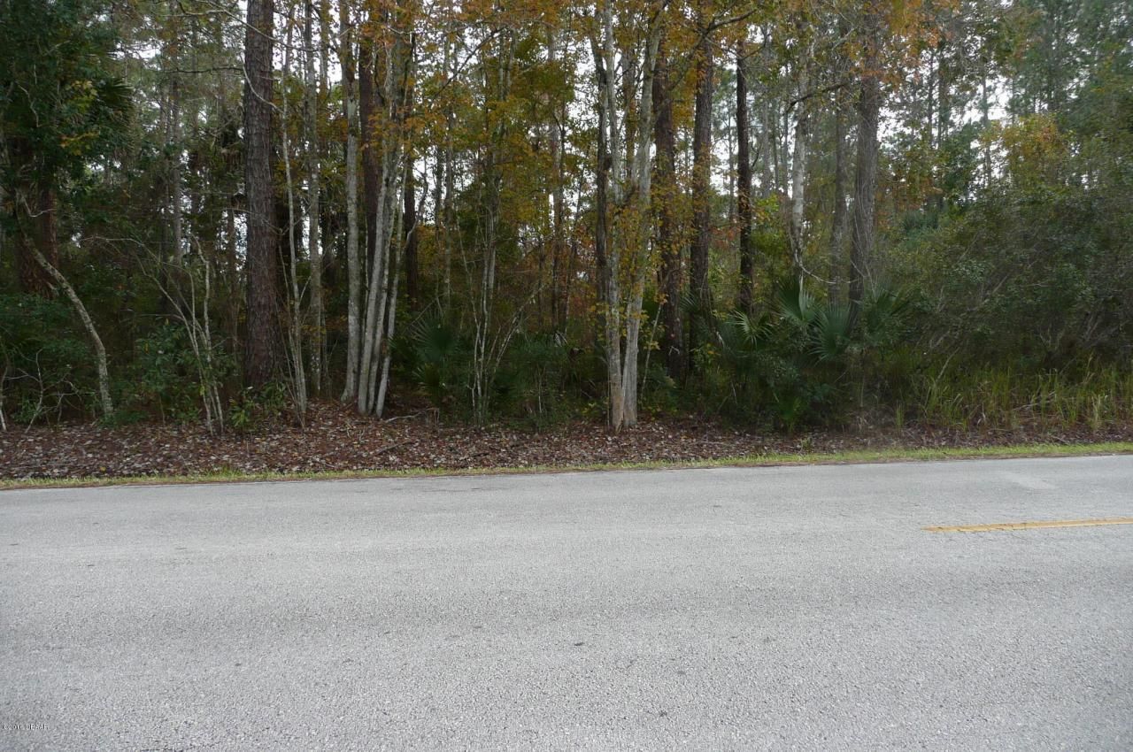 0 Old Deland Road, Daytona Beach, FL 32124 Photo