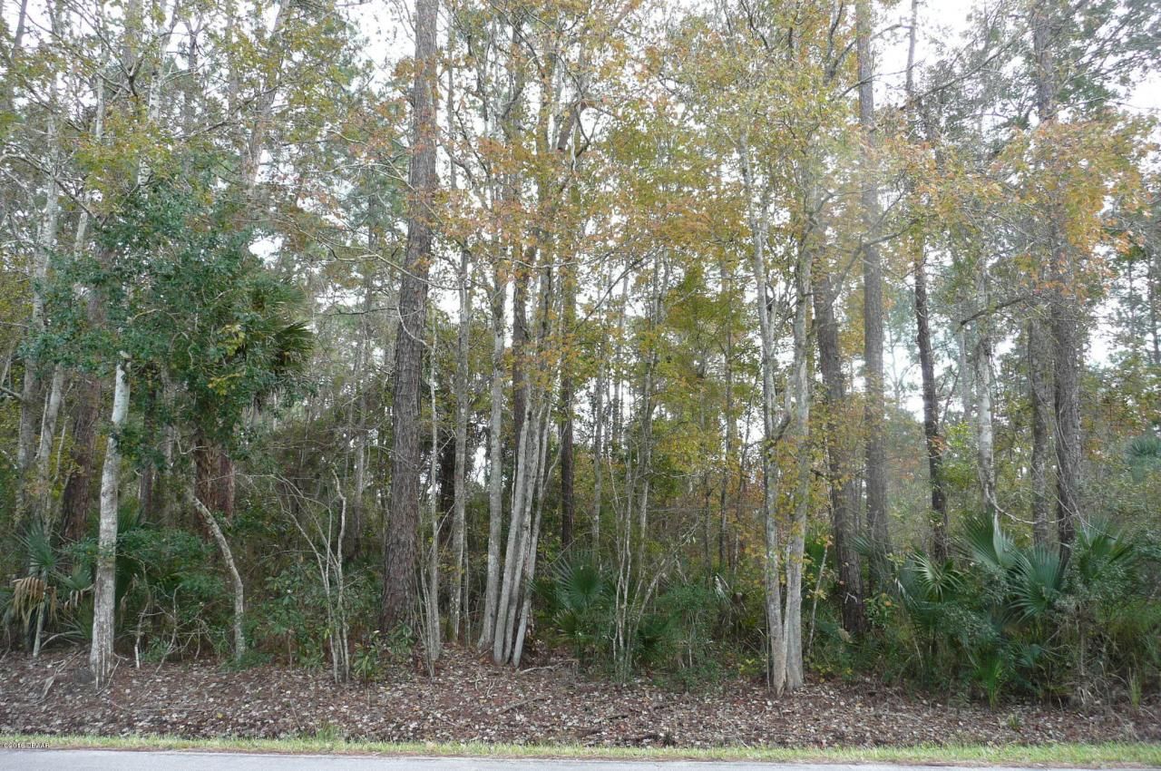 0 Old Deland Road, Daytona Beach, FL 32124 Photo
