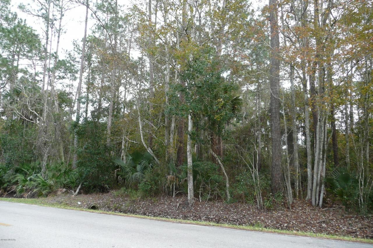 0 Old Deland Road, Daytona Beach, FL 32124 Photo