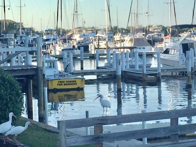 3001 King Tarpon Drive, Punta Gorda, FL 33955 Photo