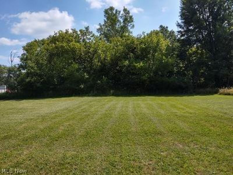 697 Main Street, Grafton, OH 44044 Photo 6