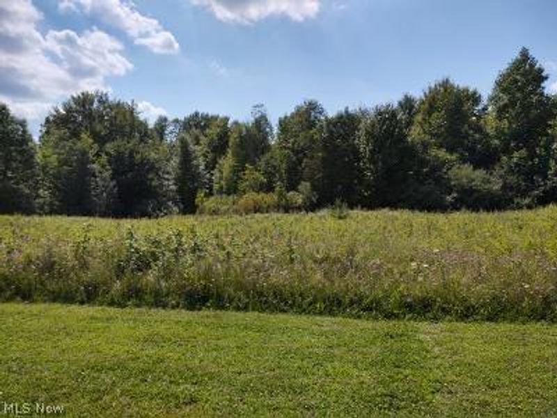 697 Main Street, Grafton, OH 44044 Photo 8