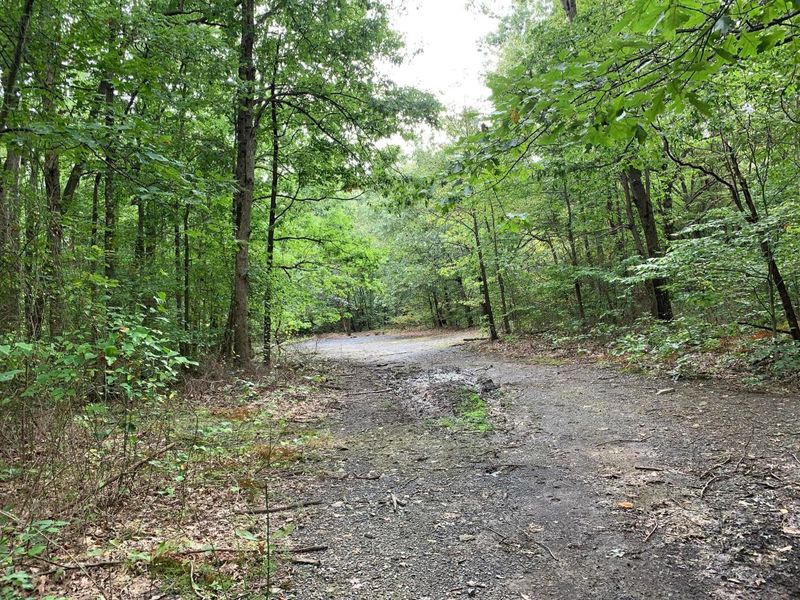 0 Cherry Run Road, Strasburg, OH 44680 Photo 10