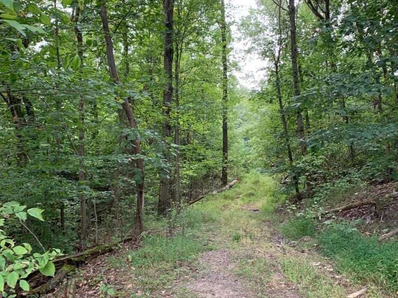 0 Cherry Run Road, Strasburg, OH 44680 Photo 11