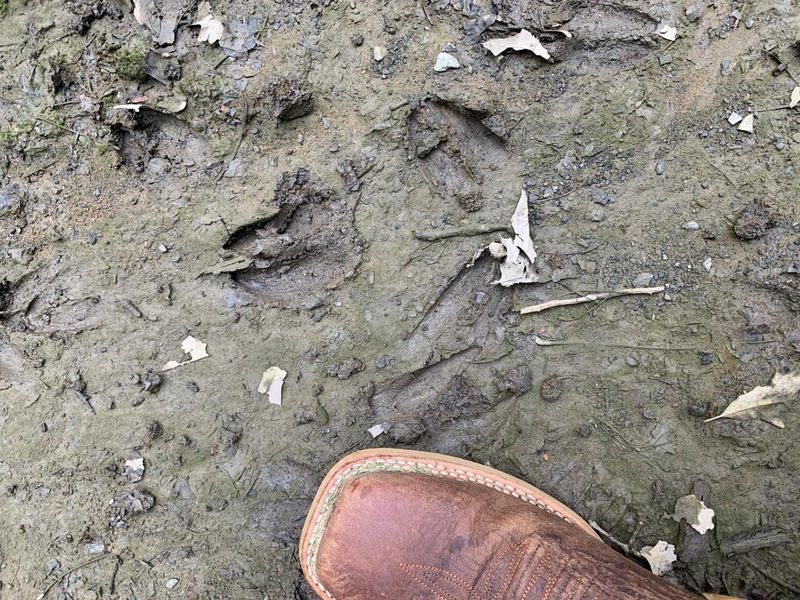 0 Cherry Run Road, Strasburg, OH 44680 Photo 12