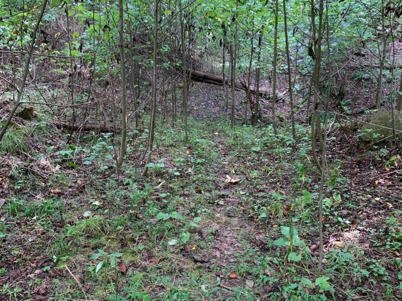 0 Cherry Run Road, Strasburg, OH 44680 Photo 16