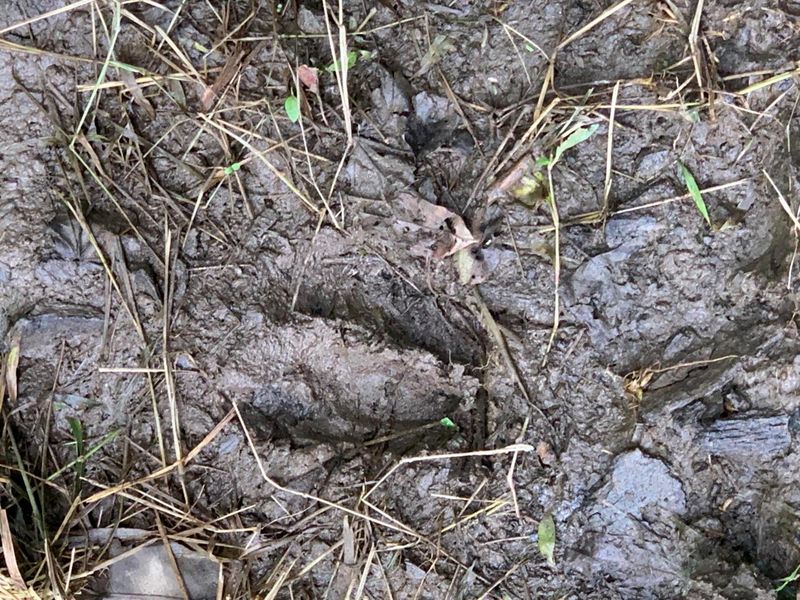 0 Cherry Run Road, Strasburg, OH 44680 Photo 17