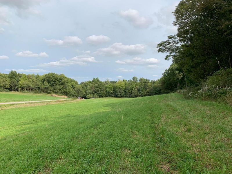 0 Cherry Run Road, Strasburg, OH 44680 Photo 18