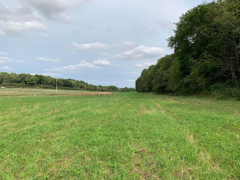 0 Cherry Run Road, Strasburg, OH 44680 Photo 19