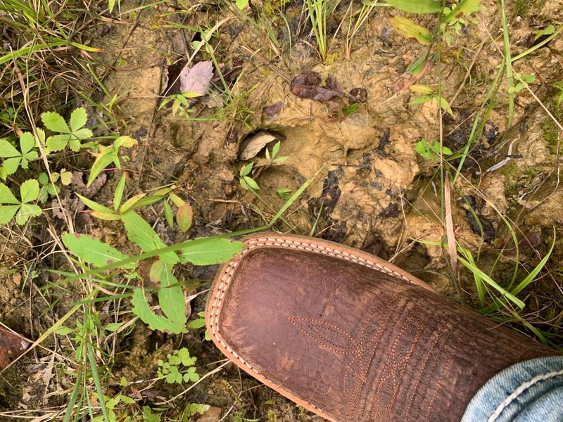 0 Cherry Run Road, Strasburg, OH 44680 Photo 21