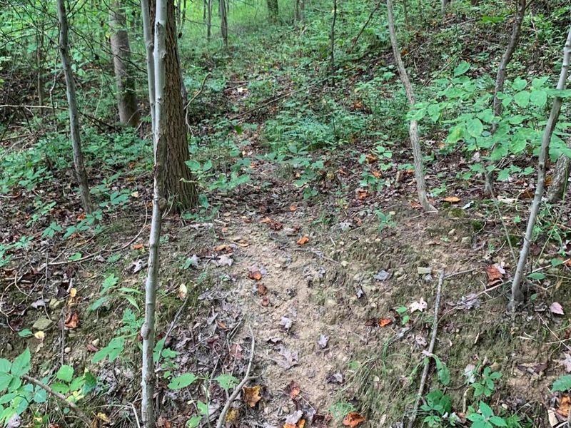 0 Cherry Run Road, Strasburg, OH 44680 Photo 22