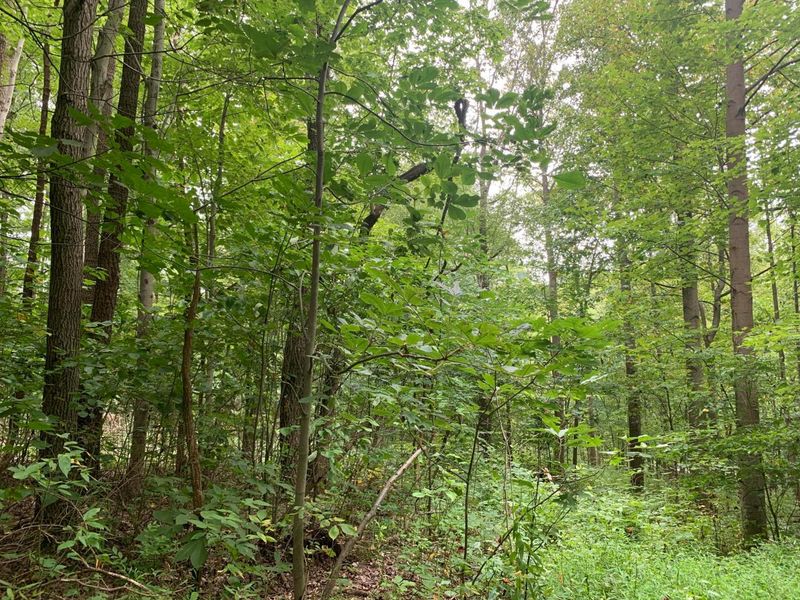 0 Cherry Run Road, Strasburg, OH 44680 Photo 23