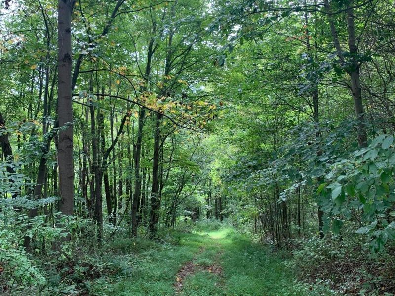 0 Cherry Run Road, Strasburg, OH 44680 Photo 24