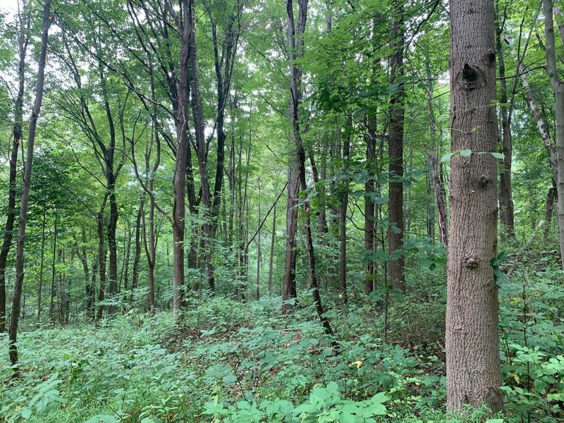 0 Cherry Run Road, Strasburg, OH 44680 Photo 25