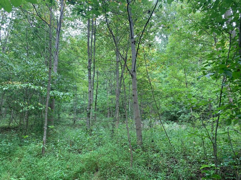 0 Cherry Run Road, Strasburg, OH 44680 Photo 26