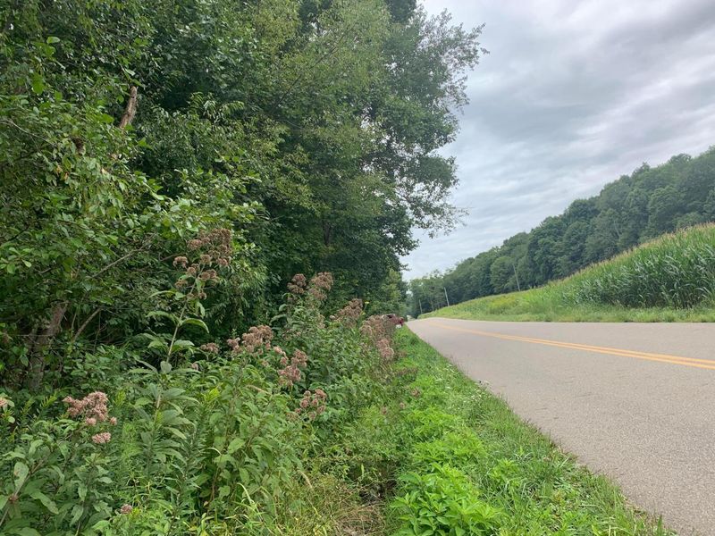 0 Cherry Run Road, Strasburg, OH 44680 Photo 27