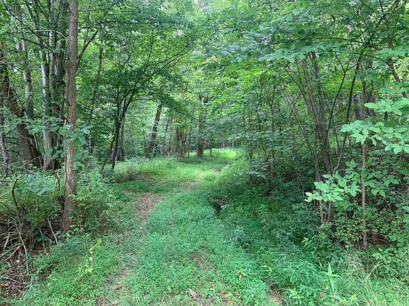 0 Cherry Run Road, Strasburg, OH 44680 Photo 28