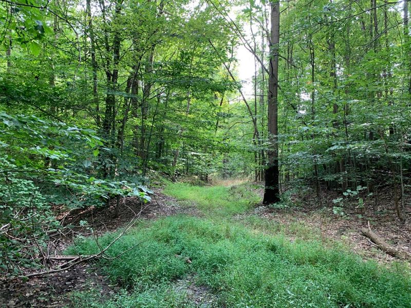 0 Cherry Run Road, Strasburg, OH 44680 Photo 7