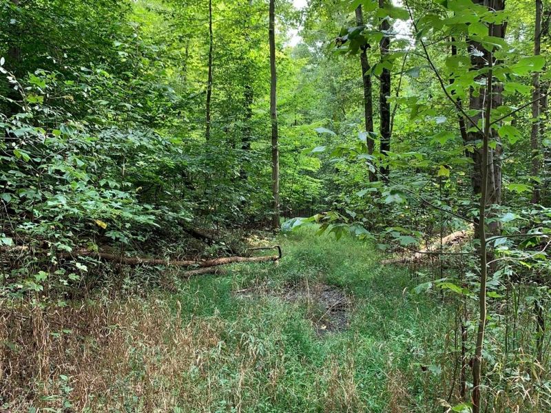 0 Cherry Run Road, Strasburg, OH 44680 Photo 8