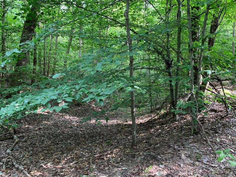 0 Cherry Run Road, Strasburg, OH 44680 Photo 9