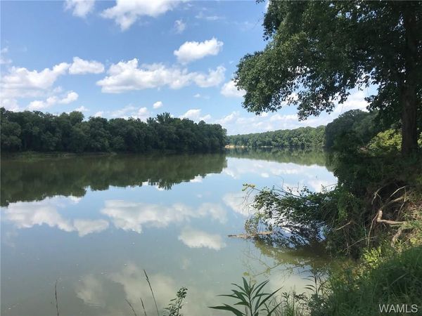 1151 Riverview Beach Road, Moundville, AL 35474