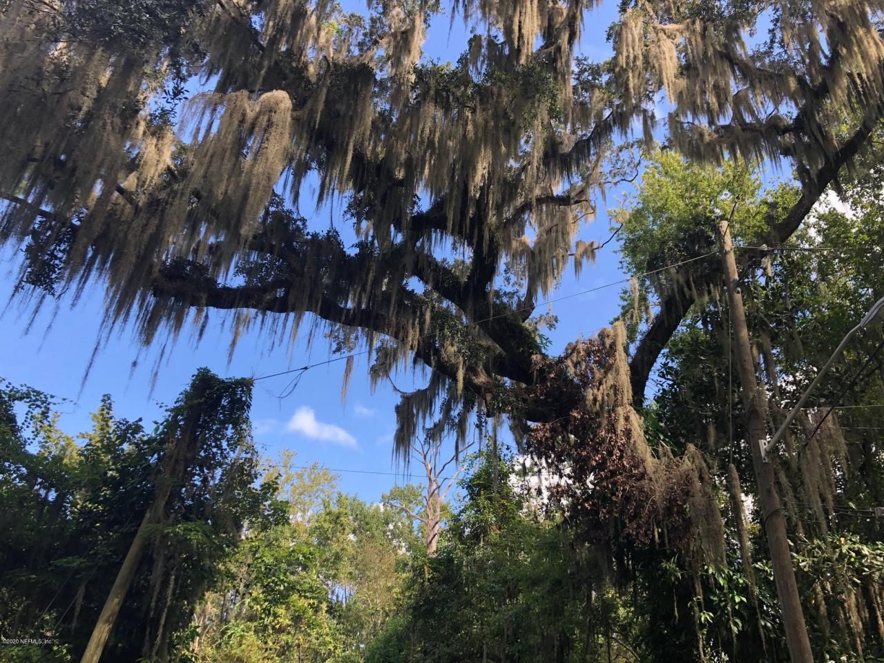 4250 Popolee Road, Saint Johns, FL 32259 Photo