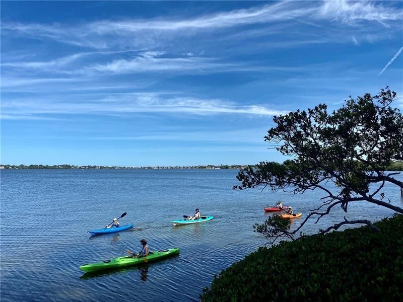 1625 Treehouse Circle, Unit TR111, Sarasota, FL 34231 Photo