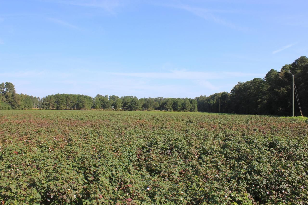 0 Old Highway 6 Photo 1